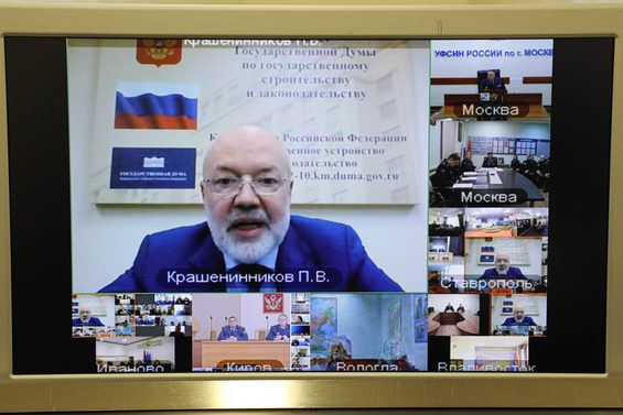 Павел Крашенинников и видеоконференция